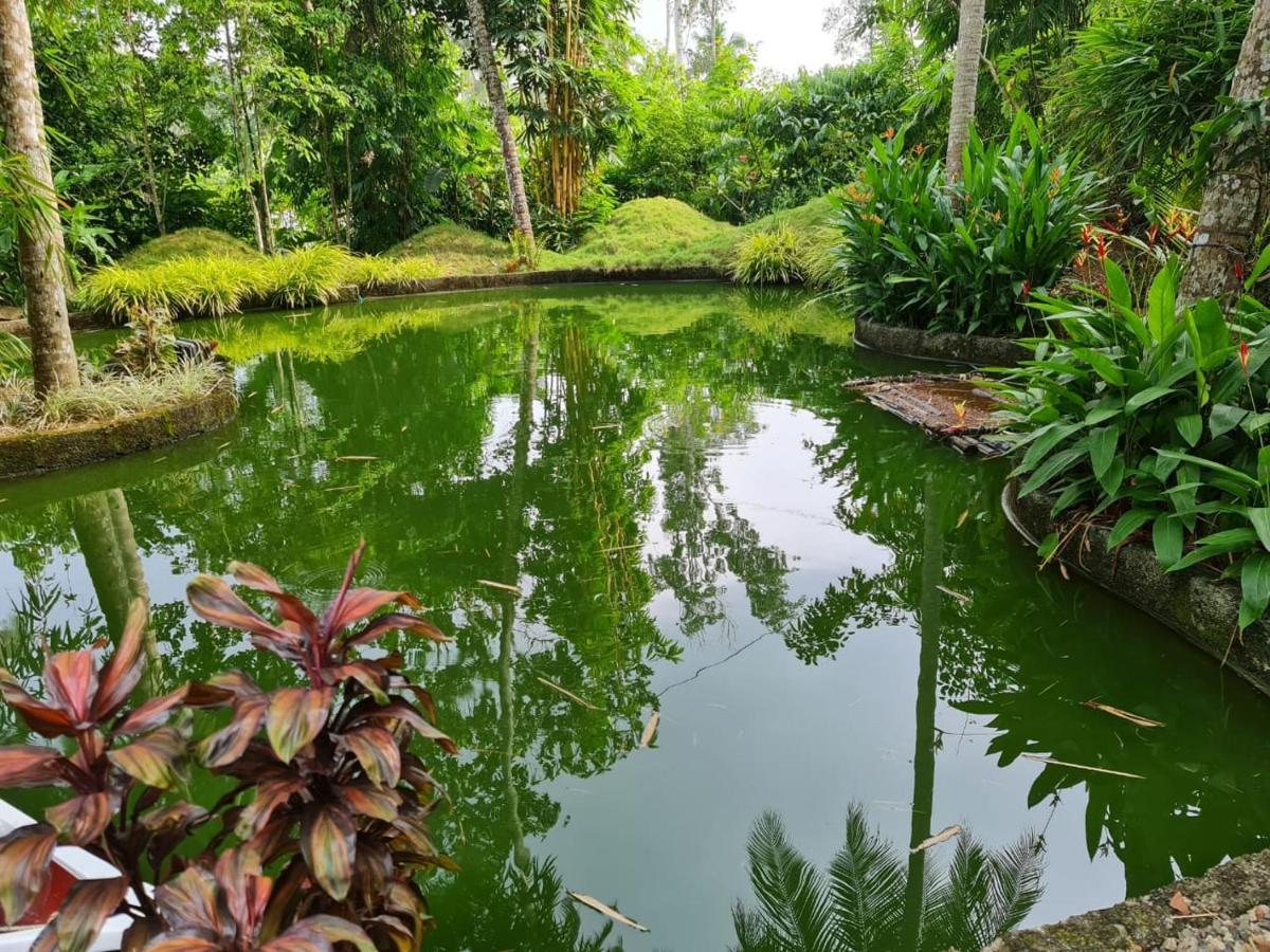 Amritham Holidays Homestay Trivandrum Thiruvananthapuram Buitenkant foto