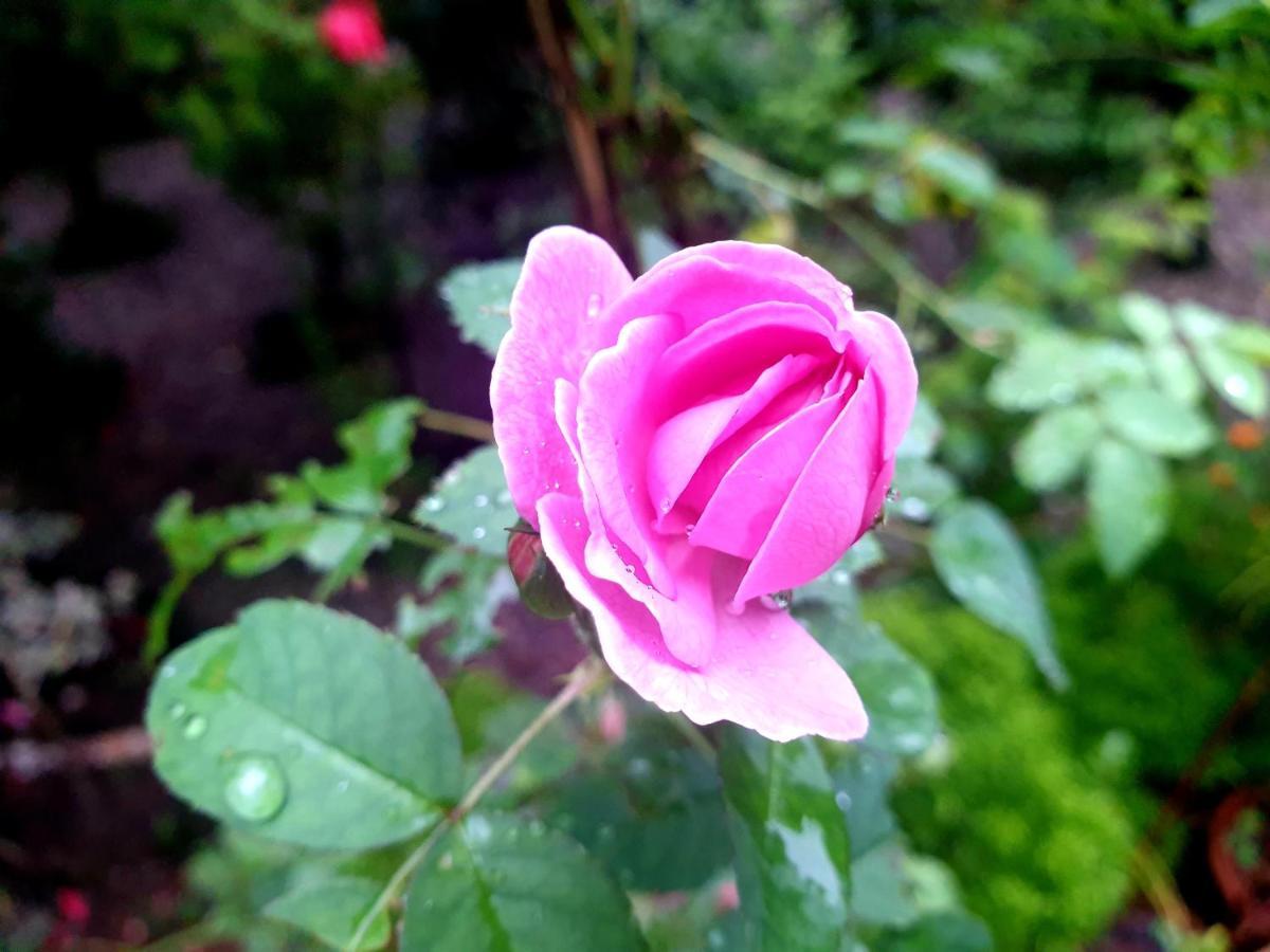 Amritham Holidays Homestay Trivandrum Thiruvananthapuram Buitenkant foto